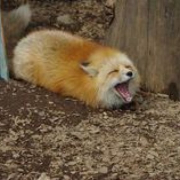 hi hello - Picture 2 of 2